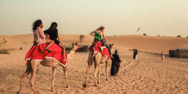 Is a Camel Riding Tour Worth It? Here’s What to Expect