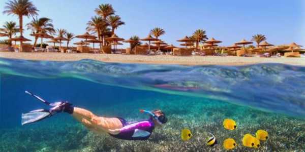 Top Snorkeling Spots for Clear Waters and Marine Life