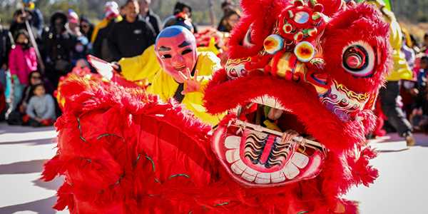 Top 9 Cultural Festivals to Experience Globally